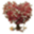dso-karten.de